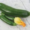 Basic Heirloom Seed Kit - Image 25