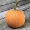 Basic Heirloom Seed Kit - Image 14