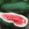 Basic Heirloom Seed Kit - Image 20