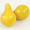 Basic Heirloom Seed Kit - Image 19