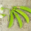 Basic Heirloom Seed Kit - Image 30