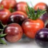 Tomato, Blue Berries, Baker Creek Heirloom Seeds - Image 2
