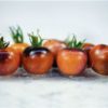Tomato, Blue Berries, Baker Creek Heirloom Seeds - Image 3