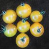 Napa Chardonnay Blush Tomato, Baker Creek Heirloom Seeds - Image 3